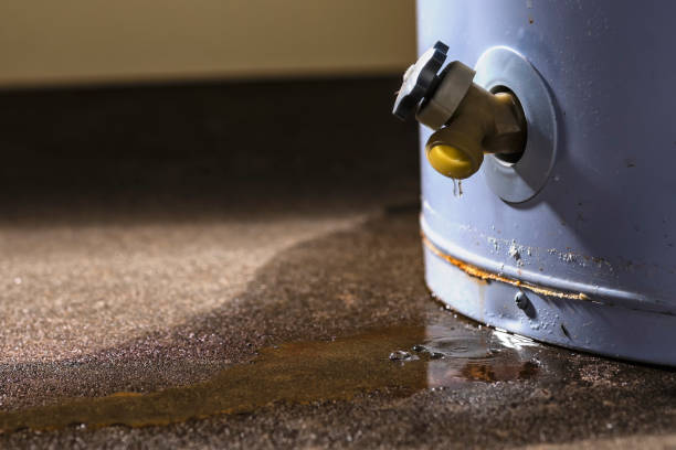 Best Flood restoration services  in Arnold, PA