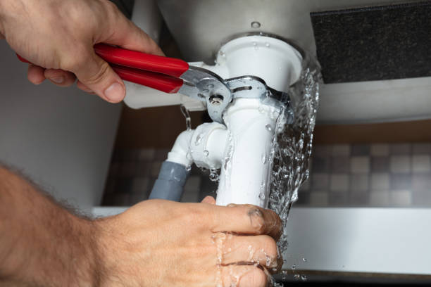 Best Mold removal after water damage  in Arnold, PA
