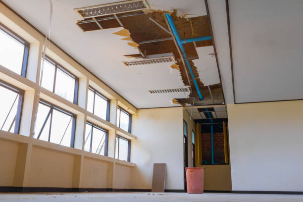 Best Flooded house restoration  in Arnold, PA