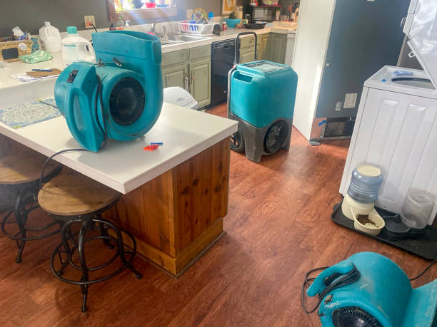Best 24-hour water damage restoration  in Arnold, PA