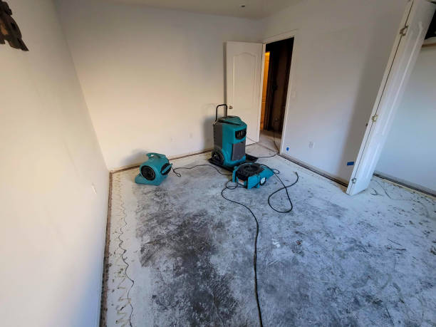 Best Local water damage restoration  in Arnold, PA