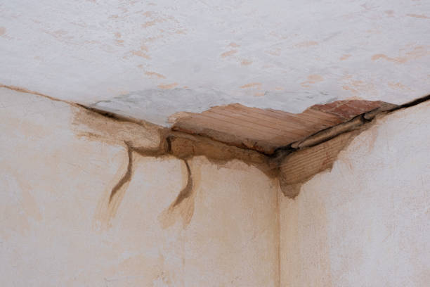 Best Flood damage cleanup  in Arnold, PA