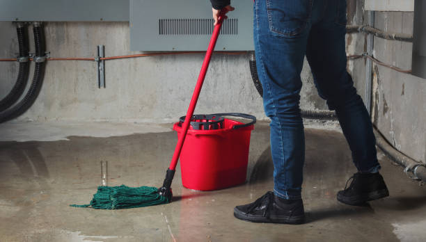 Best Basement water damage restoration  in Arnold, PA
