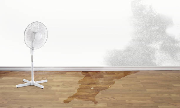 Local water damage restoration in Arnold, PA