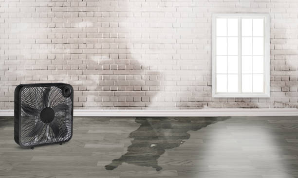 Best Flood restoration services  in Arnold, PA