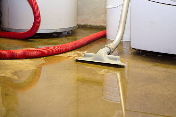 Best Carpet water damage restoration  in Arnold, PA
