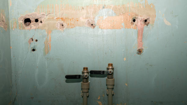  Arnold, PA Water damage restoration Pros