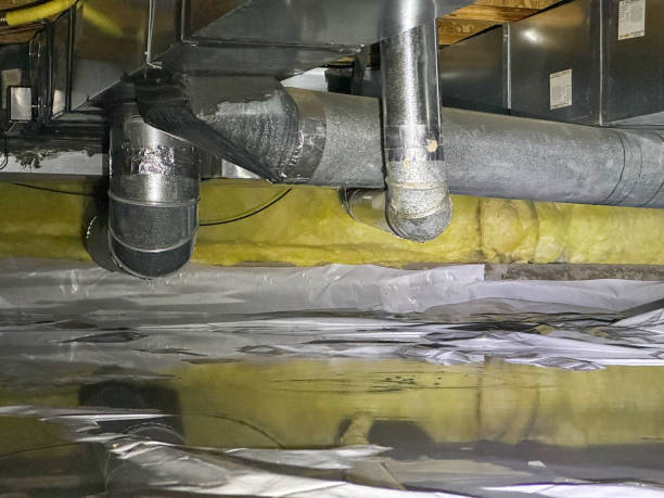 Best Water damage contractors near me  in Arnold, PA