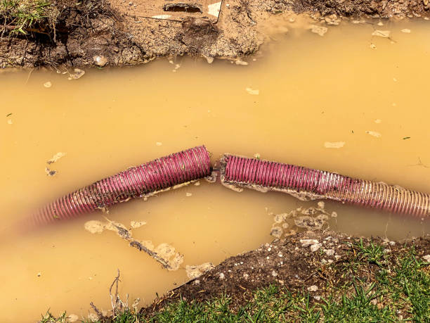 Best Sewage cleanup and water damage restoration  in Arnold, PA