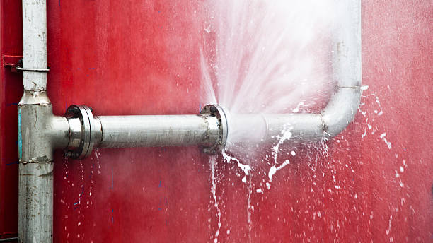 Best Professional water damage repair  in Arnold, PA
